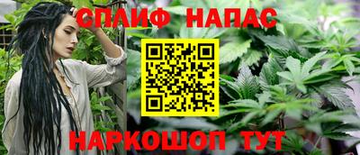 стаф Гусев